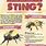 Wasp vs Bee Stinger