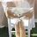 Wedding Chair Sash