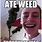 Weed Meme Subway