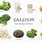 What Foods Are High in Calcium