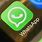 Whatsapp Indir