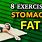 Which Exercises Burn Belly Fat