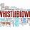 Whistleblower Website