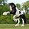 White Clydesdale Horse