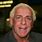 Who Is Ric Flair