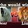 Who Wins Lion vs Bear