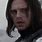 Who the Hell Is Bucky