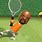 Wii Tennis Matt