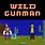Wild Gunman Game