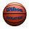 Wilson Evolution Basketball 29.5