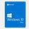 Windows 10 Pro Logo