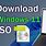 Windows ISO Installer