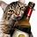 Wine Happy Birthday Cat