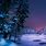 Winter Snow Forest at Night