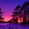 Winter Sunset Purple Sky