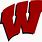 Wisconsin Volleyball Logo