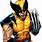 Wolverine Character