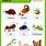 Worksheet On Insects