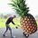 World's Largest Pineapple
