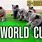 World Cup Cat Meme