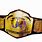 World-Class Wrestling Championship Belt