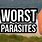 Worst Parasite