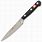 Wusthof Paring Knife