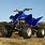 Yamaha Raptor 350 ATV