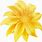 Yellow Colored Flower Clip Art