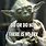 Yoda Quotes Meme