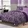 Zebra Print Purple Bedding