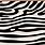 Zebra Stripes Drawing