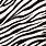 Zebra Stripes SVG