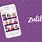 Zulily Store