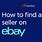 eBay Seller Search
