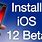 iOS 12 Download