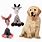 iPhone Toys for Dogs