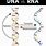 mRNA vs DNA