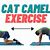 Camel Exercise
