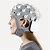 EEG Helmet