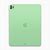 iPad Pro Green