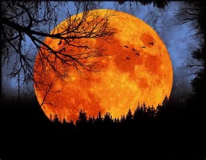 Image result for colors of harvest moon