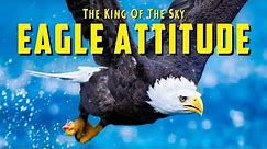 The Eagle Attitude (EAGLE MINDSET) Best Motivational Video