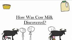 How Was Cow Milk Discovered?