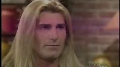 Was Fabio Hit in the Face by a Goose While on a Roller Coaster?