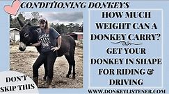 Conditioning Donkeys {How much weight can a donkey carry?} Training Riding Donkeys