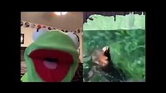 Kermit “Seal Screaming 5 Minutes”