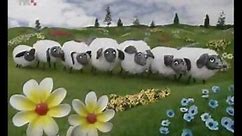 Teletabisi - Farma, ovce (HrtRip)