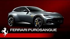 Introducing the new Ferrari Purosangue