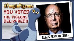Klaus Schwab Meme 💩 Poopin' Pigeons 🤣 Properly Pooped!